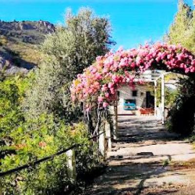 house with land for sale in the south of Spain, Torvizcon, Granada