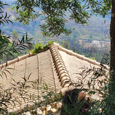 Quinta with renovation cottage and stunning mountain views