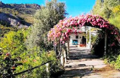 house with land for sale in the south of Spain, Torvizcon, Granada